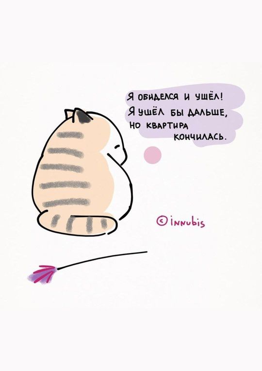 Я обиделся и ушёл! Я ушёл бы дальше, но квартира кончилась.