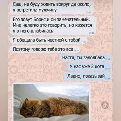 Саш, не буду ходить вокруг да около, я встретила мужчину
Его зовут Борис и он замечательный.
Мне нелегко это говорить, но кажется я в него влюбилась
Я обещала быть честной с тобой
Поэтому говорю тебе это все
Настя, ты задолбала
У нас уже 2 кота
Ладно, показывай