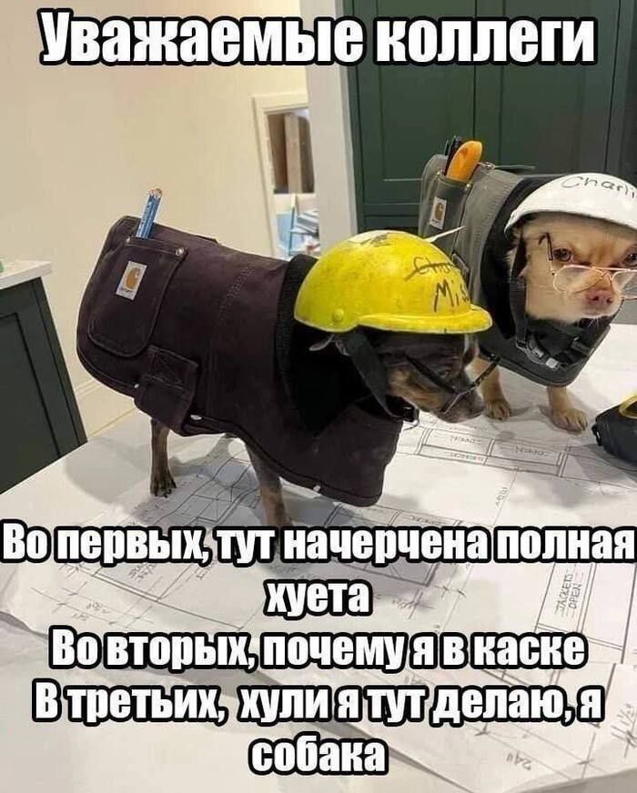 Уважаемые коллеги
Во первых, тут начерчена полная хуета
Во вторых, почему я в каске
В третьих, хули я тут делаю, я собака