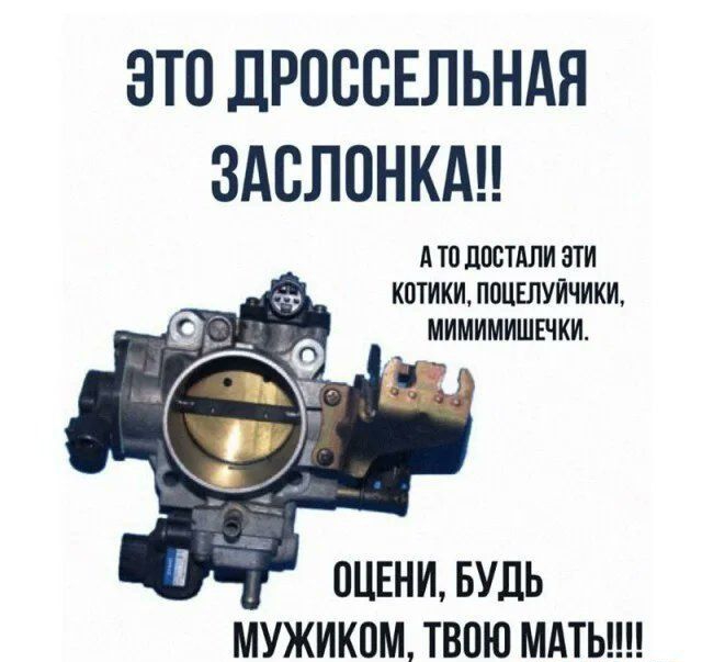 ЭТО ДРОССЕЛЬНАЯ ЗАСЛОНКА!! А ТО ДОСТАЛИ ЭТИ КОТИКИ, ПОЦЕЛУЙЧИКИ, МИМИШЕЧКИ. ОЦЕНИ, БУДЬ МУЖИКОМ, ТВОЮ МАТЬ!!!