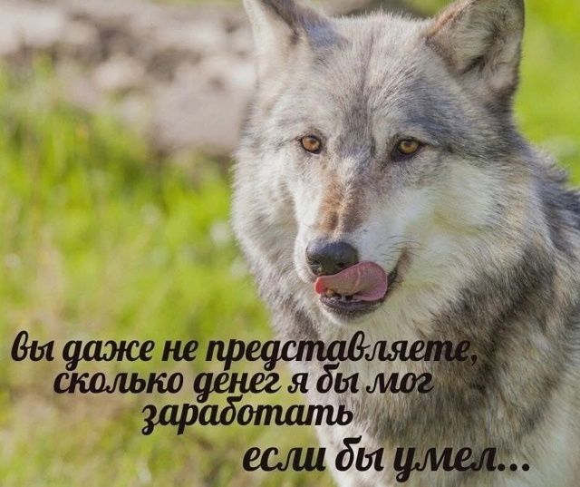 вы даже не представляете, сколько денег я бы мог заработать если бы умел...