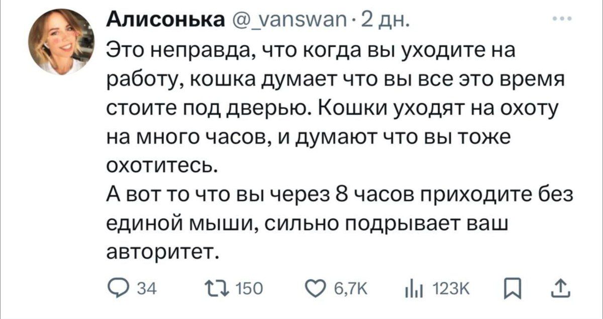 Это неправда, что когда вы уходите на работу, кошка думает что вы все это время стоите под дверью. Кошки уходят на охоту на много часов, и думают что вы тоже охотитесь. А вот то что вы через 8 часов приходите без единой мыши, сильно подрывает ваш авторитет.