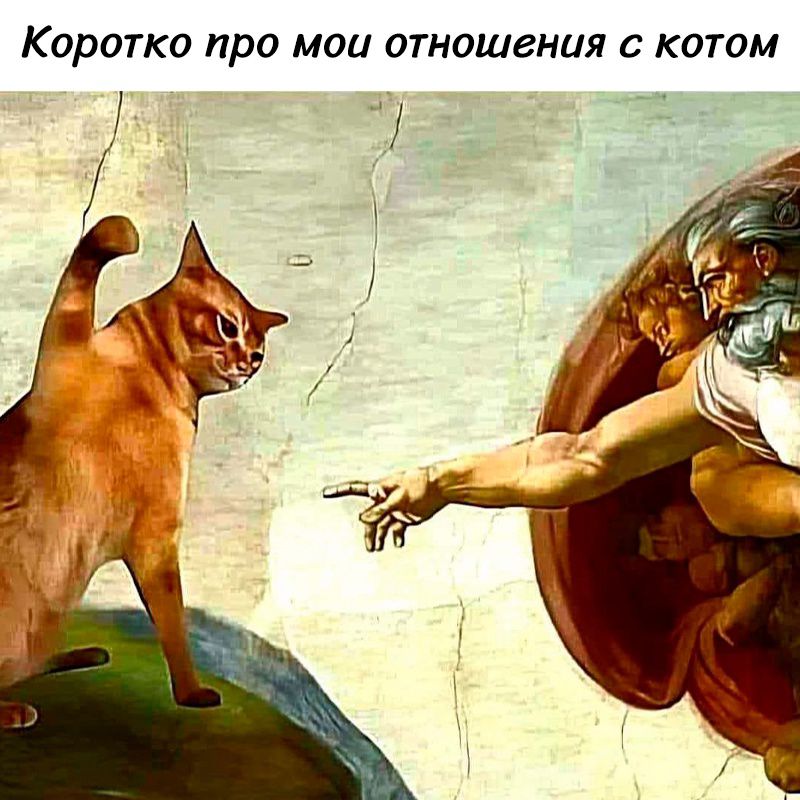 Коротко про мои отношения с котом