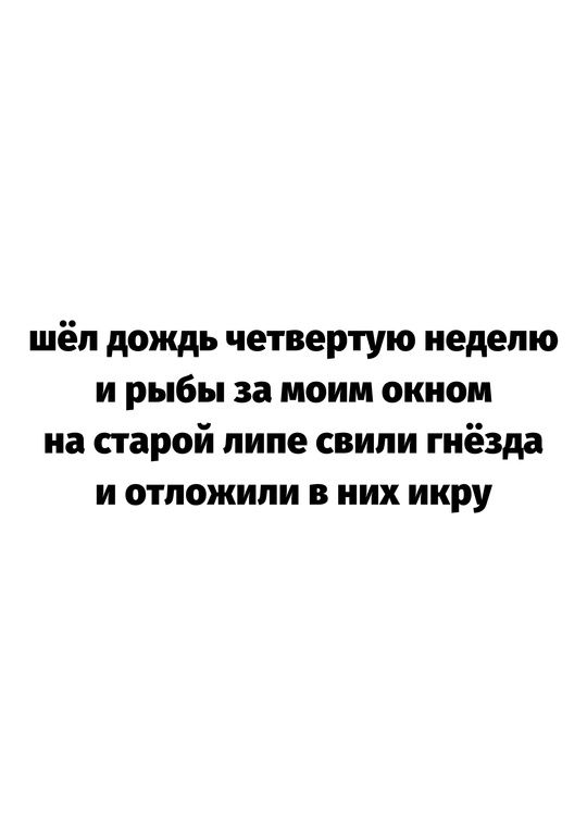 шёл дождь четвёртую неделю
и рыбы за моим окном
на старой липе свили гнёзда
и отложили в них икру