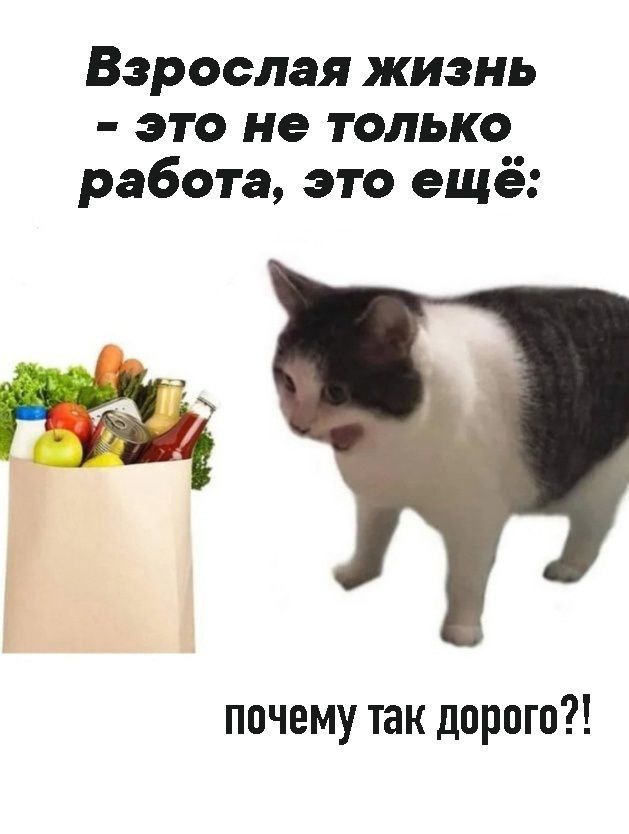 Взрослая жизнь - это не только работа, это ещё: почему так дорого?!