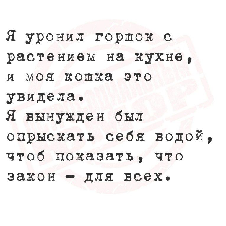 Я уронил горшок с растением на кухне, и моя кошка это увидела.
Я вынужден был опрыскать себя водой, чтобы показать, что закон - для всех.