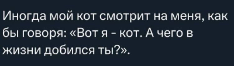 Иногда мой кот смотрит на меня, как бы говоря: «Вот я - кот. А чего в жизни добился ты?».