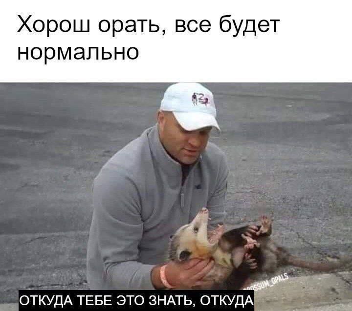 Хорош орать, все будет нормально
ОТКУДА ТЕБЕ ЭТО ЗНАТЬ, ОТКУДА