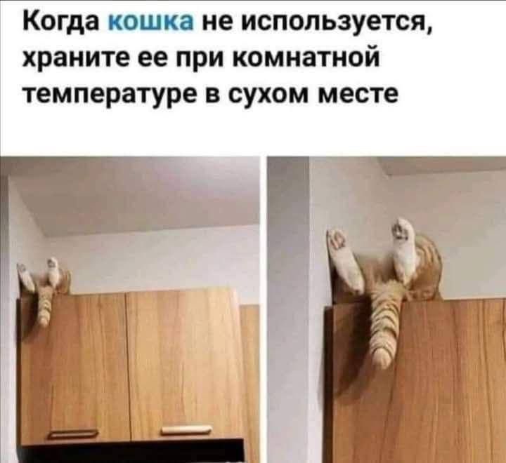 Когда кошка не используется, храните ее при комнатной температуре в сухом месте.