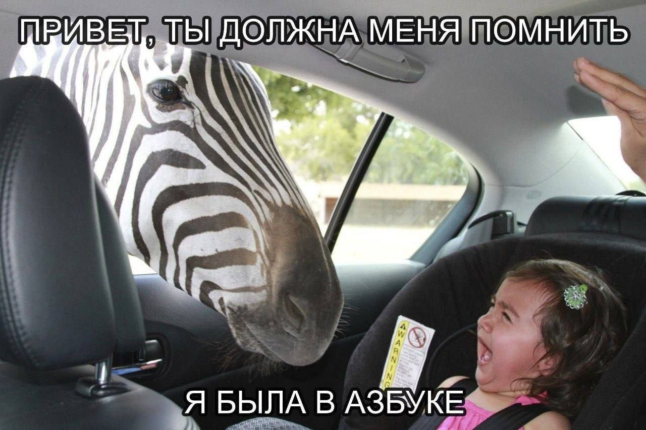 ПРИВЕТ, ТЫ ДОЛЖНА МЕНЯ ПОМНИТЬ Я БЫЛА В АЗБУКЕ