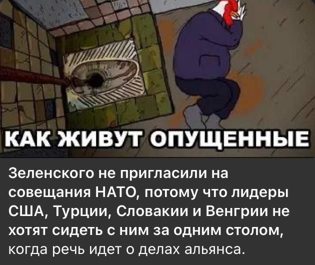 Зеленского не пригласили на совещания НАТО, потому что лидеры США, Турции, Словакии и Венгрии не хотят сидеть с ним за одним столом, когда речь идет о делах альянса.