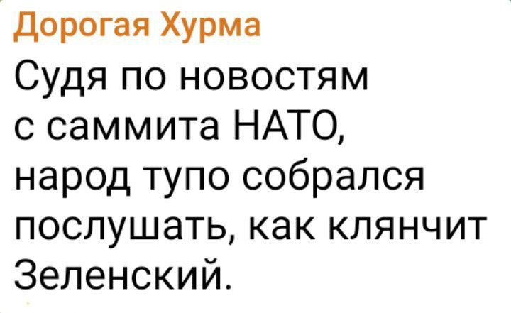Дорогая Хурма
Судя по новостям с саммита НАТО, народ тупо собрался послушать, как клянчит Зеленский.