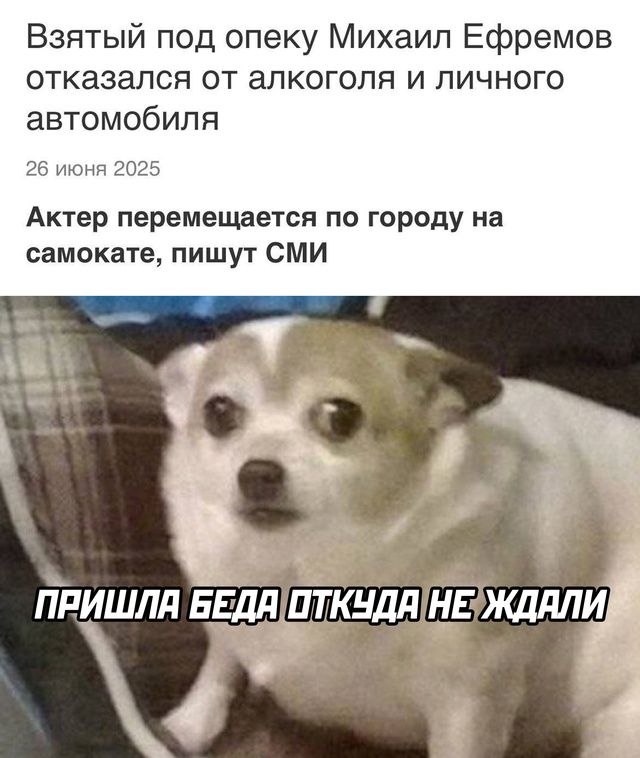 Взятый под опеку Михаил Ефремов отказался от алкоголя и личного автомобиля
26 июня 2025
Актер перемещается по городу на самокате, пишут СМИ
ПРИШЛА БЕДА ОТКУДА НЕ ЖДАЛИ