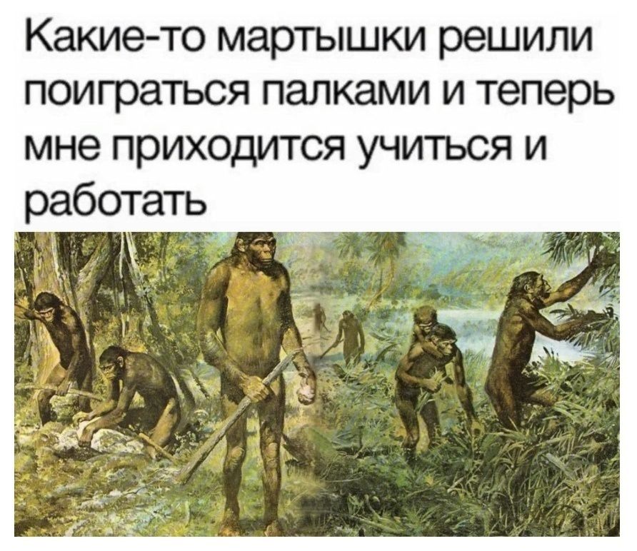 Какие-то мартышки решили поиграться палками и теперь мне приходится учиться и работать