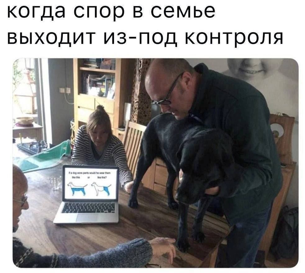 когда спор в семье выходит из-под контроля