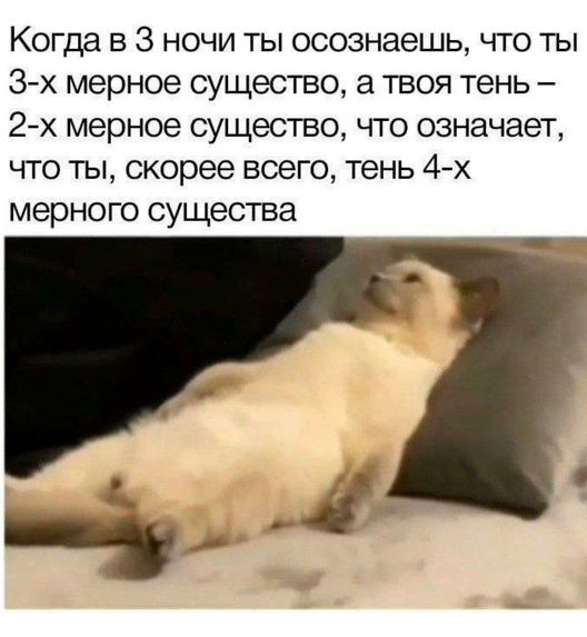 Когда в 3 ночи ты осознаешь, что ты 3-х мерное существо, а твоя тень – 2-х мерное существо, что означает, что ты, скорее всего, тень 4-х мерного существа.