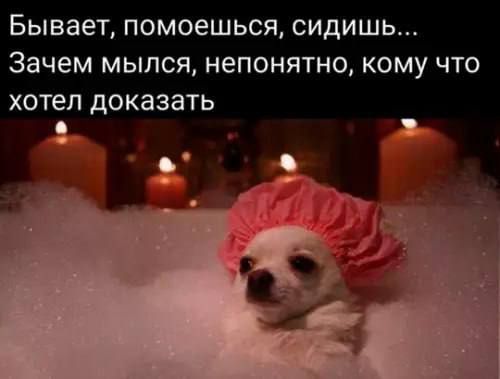 Бывает, помоешься, сидишь... Зачем мылся, непонятно, кому что хотел доказать