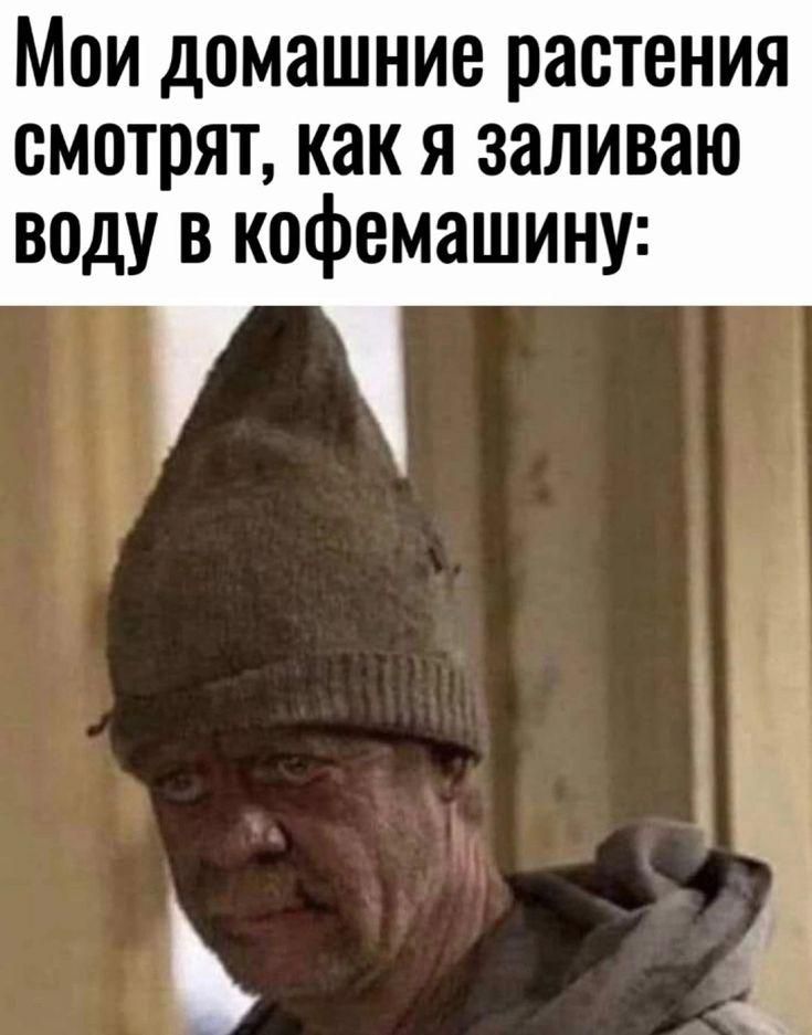 Мои домашние растения смотрят, как я заливаю воду в кофемашину: