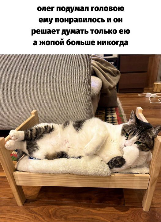 олег подумал головою ему понравилось и он решает думать только ею а жопой больше никогда