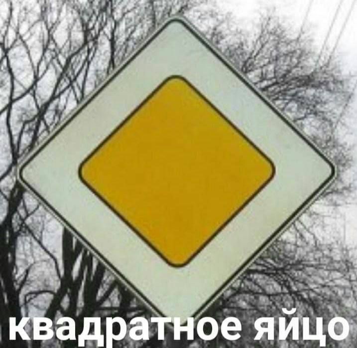 квадратное яйцо