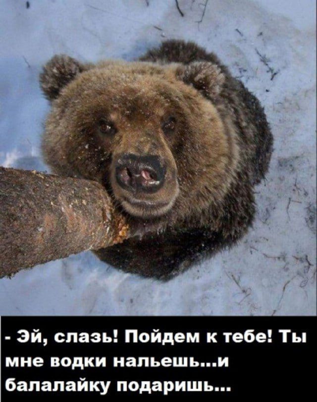 Эй, слезай! Пойдем к тебе! Ты мне водки нальешь...и балалайку подаришь...