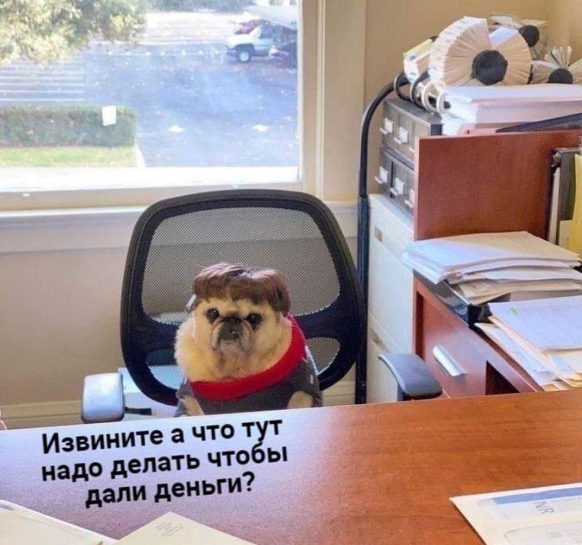 Извините а что тут надо делать чтобы дали деньги?