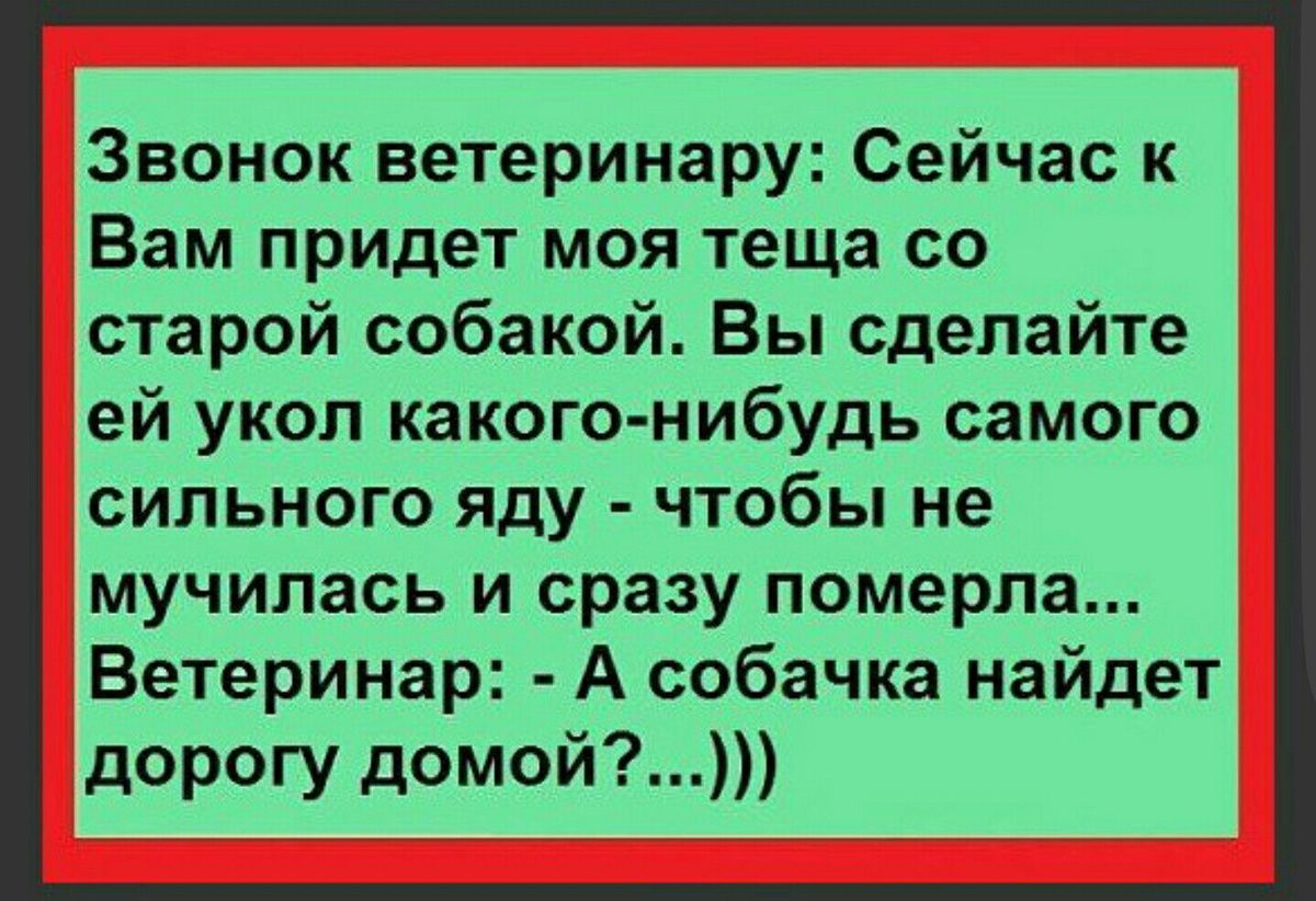 Звонок ветеринару: Сейчас к Вам придет моя теща со старой собакой. Вы сделайте ей укол какого-нибудь самого сильного яда - чтобы не мучилась и сразу померла... Ветеринар: - А собачка найдет дорогу домой?...)