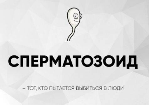 СПЕРМАТОЗОИД
– ТОТ, КТО ПЫТАЕТСЯ ВЫБИТЬСЯ В ЛЮДИ