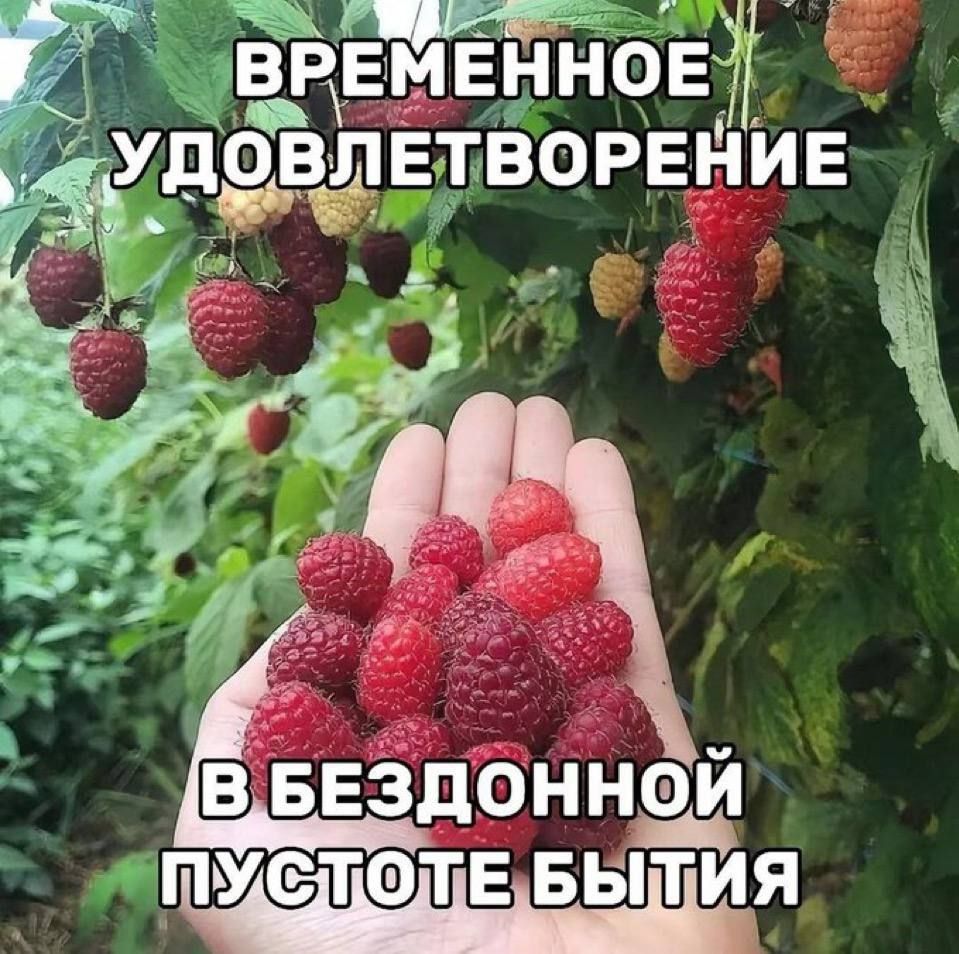 ВРЕМЕННОЕ УДОВЛЕТВОРЕНИЕ В БЕЗДОННОЙ ПУСТОТЕ БЫТИЯ