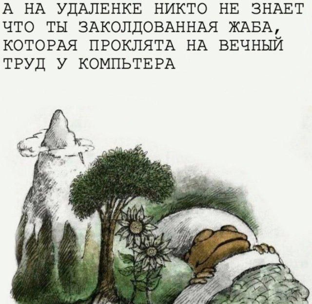 А НА УДАЛЕНКЕ НИКТО НЕ ЗНАЕТ ЧТО ТЫ ЗАКОЛДОВАННАЯ ЖАБА, КОТОРАЯ ПРОКЛЯТА НА ВЕЧНЫЙ ТРУД У КОМПЬЮТЕРА