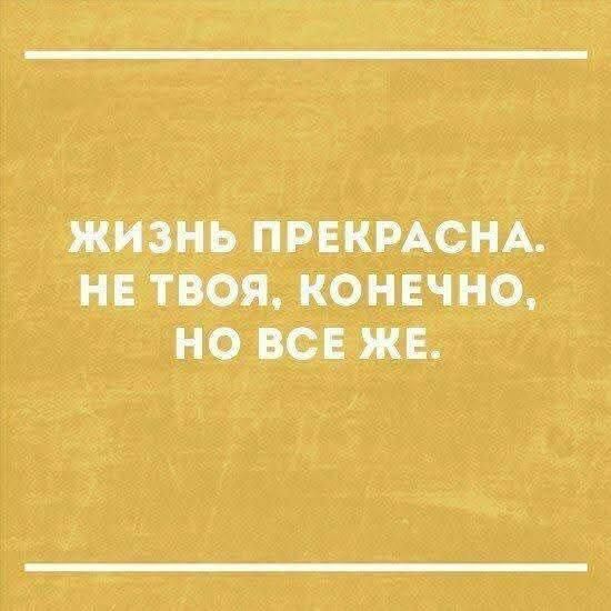 ЖИЗНЬ ПРЕКРАСНА. НЕ ТВОЯ, КОНЕЧНО, НО ВСЕ ЖЕ.
