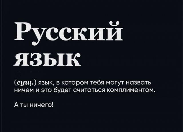 Русский язык
(сущ.) язык, в котором тебя могут назвать ничем и это будет считаться комплиментом.
А ты ничего!