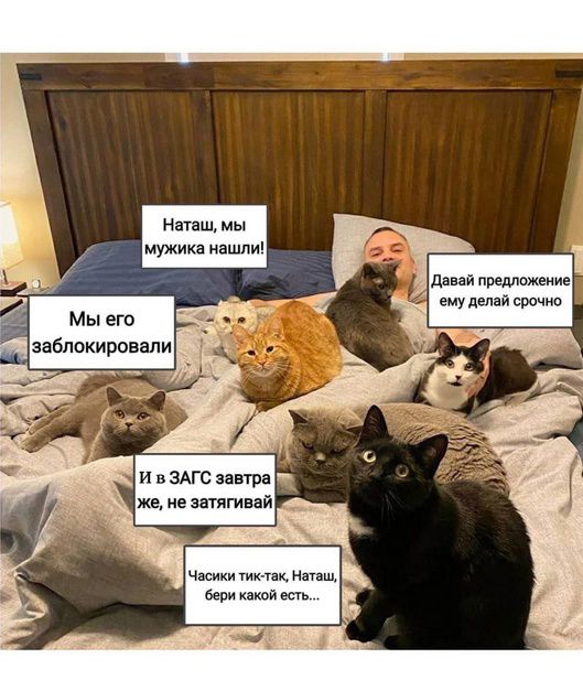 Наташ, мы мужика нашли! Мы его заблокировали. Давай предложение ему делай срочно. И в ЗАГС завтра же, не затягивай. Часики тик-так, Наташ, бери какой есть...