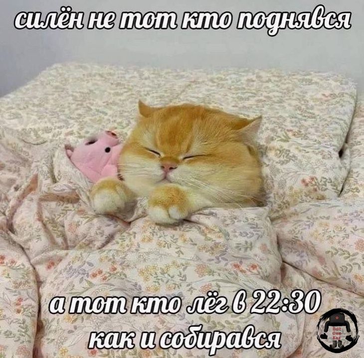 силён не тот кто поднявся а тот кто лёг в 22:30 как и собирался