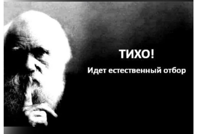 ТИХО! Идет естественный отбор