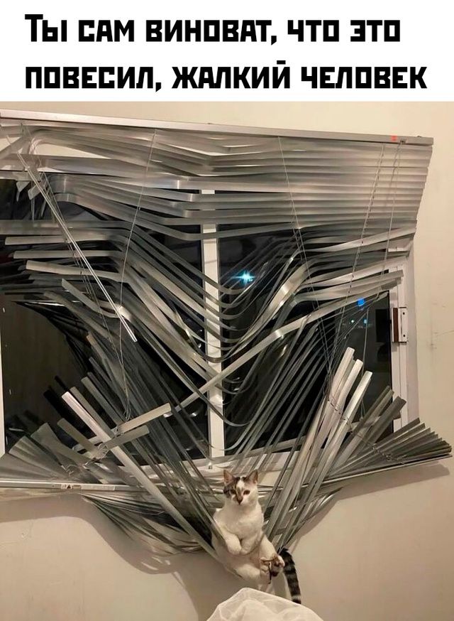 Ты сам виноват, что это повесил, жалкий человек