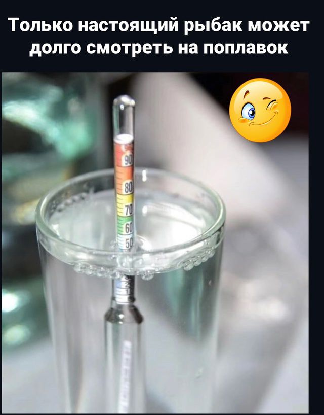 Только настоящий рыбак может долго смотреть на поплавок