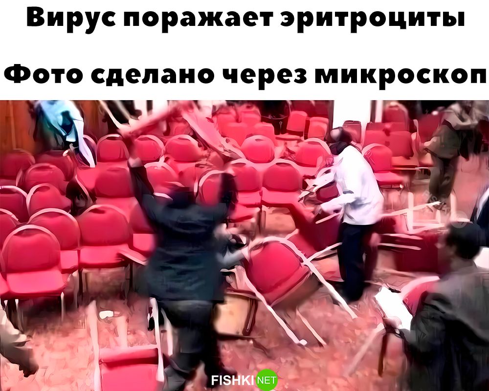 Вирус поражает эритроциты Фото сделано через микроскоп