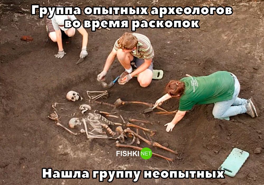 Группа опытных археологов во время раскопок Нашла группу неопытных