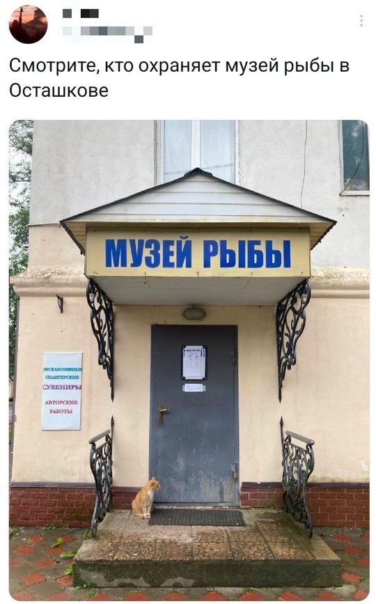 Смотрите, кто охраняет музей рыбы в Осташкове