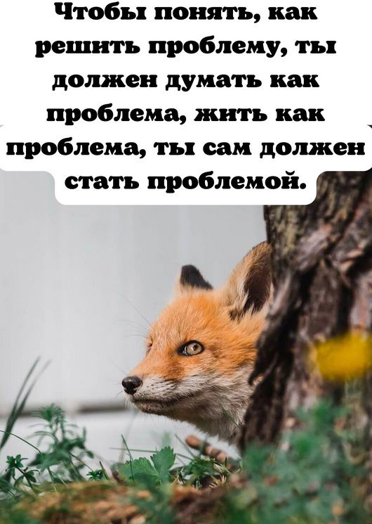 Чтобы понять, как решить проблему, ты должен думать как проблема, жить как проблема, ты сам должен стать проблемой.