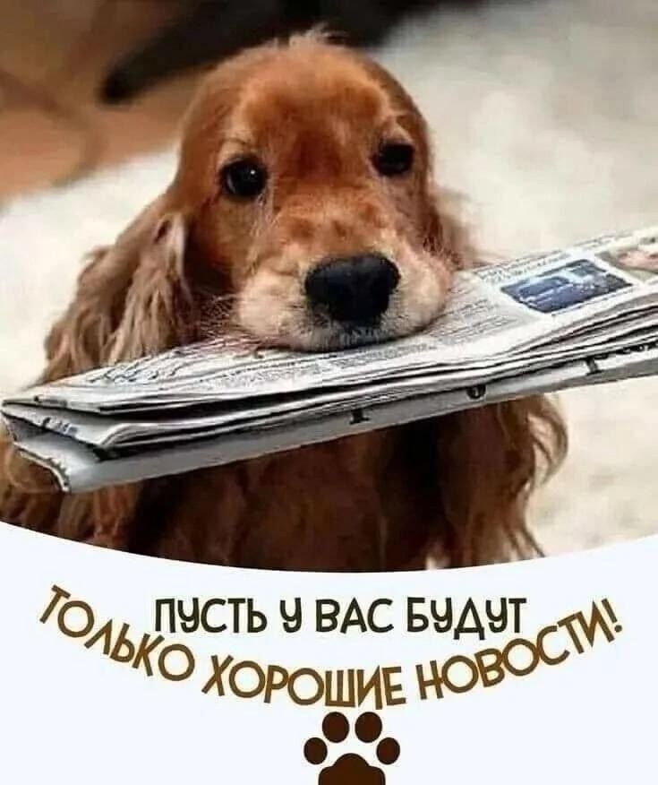 ПУСТЬ У ВАС БУДУТ ТОЛЬКО ХОРОШИЕ НОВОСТИ!