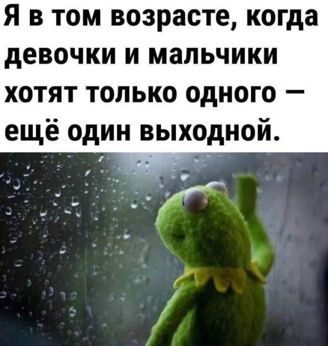 Я в том возрасте, когда девочки и мальчики хотят только одного — ещё один выходной.