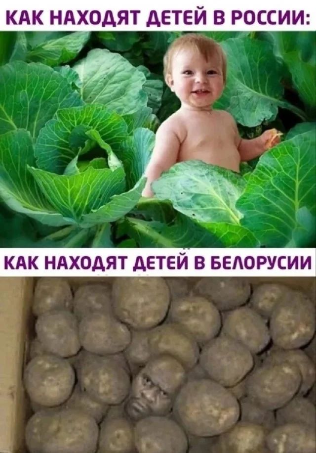 КАК НАХОДЯТ ДЕТЕЙ В РОССИИ:
КАК НАХОДЯТ ДЕТЕЙ В БЕЛОРУСИИ