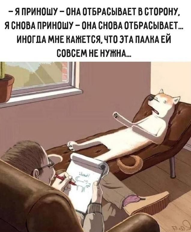 - Я приношу – она отбрасывает в сторону, я снова приношу – она снова отбрасывает... Иногда мне кажется, что эта палка ей совсем не нужна...
