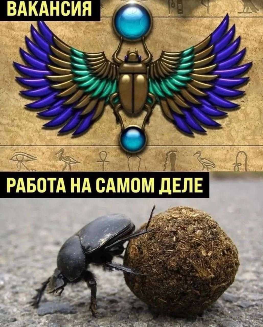ВАКАНСИЯ РАБОТА НА САМом ДЕЛЕ