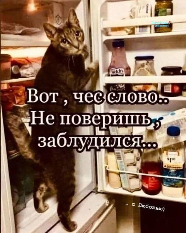 Вот, чес слово.. Не поверишь, заблудился...