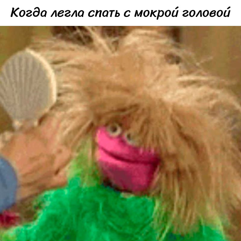 Когда легла спать с мокрой головой