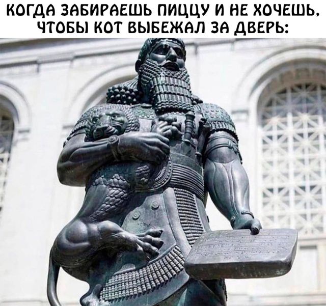 КОГДА ЗАБИРАЕШЬ ПИЦЦУ И НЕ ХОЧЕШЬ, ЧТОБЫ КОТ ВЫБЕЖАЛ ЗА ДВЕРЬ: