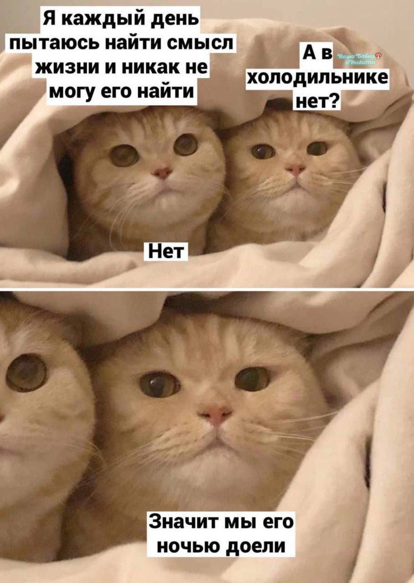 Я каждый день пытаюсь найти смысл жизни и никак не могу его найти
Нет
А в холодильнике нет?
Значит мы его ночью доели